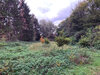 Bild der Veranstaltung