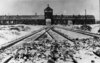 Stanislaw Mucha, Bundesarchiv, B 285 Bild-04413 [CC BY-SA 3.0 DE] | Torhaus Auschwitz-Birkenau
