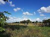 Auf dem Havelradweg, Foto: Uwe Matthies Auf dem Havelradweg, Foto: Uwe Matthies