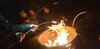 Foto zur Veranstaltung Lagerfeuer auf der Alpakawiese