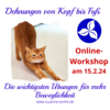 Veranstaltung: Dehnungen von Kopf bis Fuß (Online-Workshop)