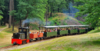 Foto zur Veranstaltung Historischer Dampflokbetrieb der Waldeisenbahn Muskau