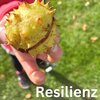 Foto zur Veranstaltung Resilienztraining online