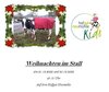 Veranstaltung: Weihnachten im Stall - Hofgut Neumühle Kids -AUSGEBUCHT-