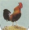 Foto zur Veranstaltung Scharlibber Bosseln mit Grillen