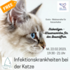 Foto zur Veranstaltung Stubentiger – Wissenswertes für den Dosenöffner: Infektionskrankheiten bei der Katze