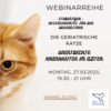 Foto zur Veranstaltung Stubentiger - Wissenswertes für den Dosenöffner: Die geriatrische Katze – unentdeckte Krankheiten im Alter