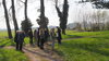 Veranstaltung: Samstagsspaziergang zum &quot;Nickenden Milchstern&quot; im Schlossgarten zu Paretz