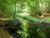 Foto zur Veranstaltung Wanderung mit d. Naturpark-Ranger