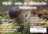 Veranstaltung: Pilzführung mit Pilzcoach und Feldmykologe Steffen Frühbis