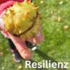 Veranstaltung: Resilienztraining ONLINE