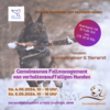 Veranstaltung: Seminar: Hundetrainer & Tierarzt - Gemeinsames Fallmanagement von verhaltensauffälligen Hunden