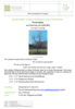 Veranstaltung: Praxisseminar, Winterschnitt an älteren Obstbäumen auf der Streuobstwiese