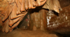 Veranstaltung: Exkursion über die Schalkauer Muschelkalkplatte zur Bleßberghöhle
