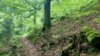 Veranstaltung: Auf alten Pfaden durch bizarre Landschaften: Rangertour des Naturparks Frankenwald So 02. 06. 2024