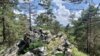 Veranstaltung: Kiefern und Farne am Peterleinstein: Rangertour des Naturparks Frankenwald Sa 07. 09. 2024