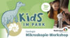 Veranstaltung: Kids im Park: Mikroskopie-Workshop