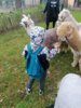 Veranstaltung: Hurra, Hurra...die Alpakas sind da- Gr&uuml;ndonnerstag im Lebenshilfe-Haus