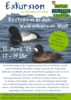 Veranstaltung: Exkursion/Wanderung: Watvögel im Salzwiesengebiet der Härrwisch