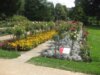 Rosengarten Forst, Hochstammgarten, Foto: Wilhelm Zimmerling PAR CC BY-SA 4.0 Deed