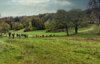 Veranstaltung: Bibelwandern Sa 19. 10. 2024