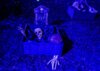 Veranstaltung: Halloween-Fest in Sollstedt Fr 31. 10. 2025