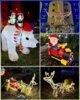 Veranstaltung: Weihnachtsfest in Sollstedt Sa 13. 12. 2025