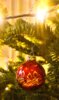 Veranstaltung: LF Burgdorf: Weihnachtsfeier Mo 02.​12.​2024