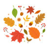Veranstaltung: Wir begrüßen den Herbst! Di 23.09.2025