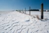 Veranstaltung: Wanderung des Eifelvereins zum Sauerbrunnen Dreisborn Sa 04. 01. 2025