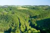 Veranstaltung: Wanderung des Eifelvereins "Aussichtspunkt Waidmannslust" Sa 09. 08. 2025