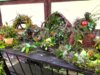 Veranstaltung: Workshop im Naturpark: Geschenke aus der Natur Mi 02. 07. 2025