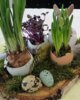 Veranstaltung: Mittagsbuffet am Ostersonntag So 20.04.2025