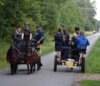 Veranstaltung: Schnupperkurs Kutsche-Fahren So 20. 07. 2025