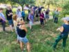 Veranstaltung: Sommerschnittkurs Fr 04. 07. 2025