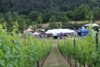 Am Fuße des Weinberges findet jährlich das Weinbergfest statt.
