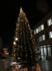 Veranstaltung: Weihnachtsleuchten und Baumschmücken in Michendorf Do 27. 11. 2025