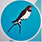 Veranstaltung: Vogelstimmenwanderung in Usenborn So 13. 04. 2025