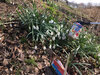 Veranstaltung: Tag des sauberen Dorfes in Bokholt-Hanredder Sa 29. 03. 2025