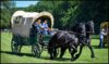 Veranstaltung: Ponyfest in Wülfingerode So 07.​06.​2026
