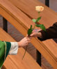 Veranstaltung: "Valentin-Gottesdienst" mit Paar-Segnung Sa 15. 02. 2025