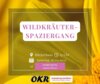 Veranstaltung: Wildkräuterspaziergang 1 Sa 26. 04. 2025
