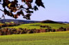 Veranstaltung: Wanderung zum Frenzelsberg (Röthigberg) So 22. 06. 2025