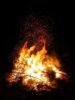Veranstaltung: Osterfeuer in Buschow Sa 19. 04. 2025