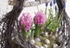 Veranstaltung: Workshop Osternester aus Reisig Sa 05. 04. 2025