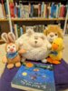 Veranstaltung: Kuscheltierübernachtungsparty in der Bibliothek Fr 04. 04. 2025