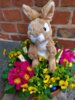 Veranstaltung: Hase Hubert ist wieder im Museum – Workshop zur Osterzeit Do 17. 04. 2025