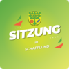 Veranstaltung: Haupt-, Finanz- und Wirtschaftsausschusssitzung Mi 26. 03. 2025