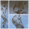 Veranstaltung: Ausstellung im Kapitelhaus: "ANDERS - Schlangenhaut und Skulpturen" von Andrea Müller 04. Mai  -  03. Aug 2025