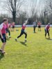Veranstaltung: Saisonfinale der Waldenau Kraken – Heimspieltag in der Regionalliga Nord Sa 02. 08. 2025